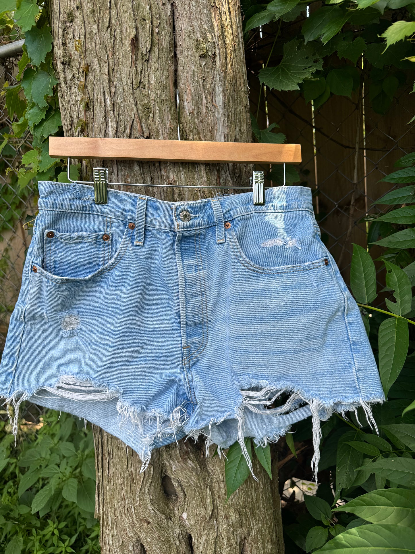 Distressed women’s Levi shorts: SIZE 31 ( 7/8 )